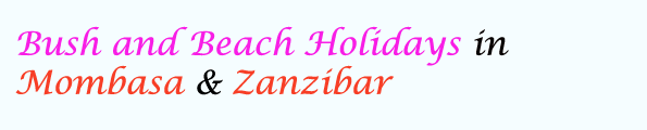 Bush and Beach Holidays in Mombasa & Zanzibar